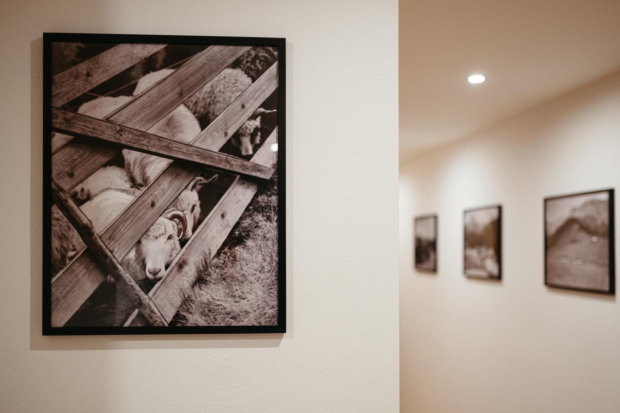 Novopolka Apartamenty Rzepiska Phòng bức ảnh